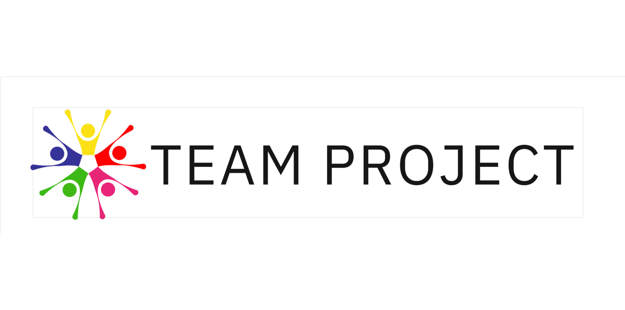 TEAM PROJECT