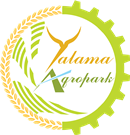 Yalama